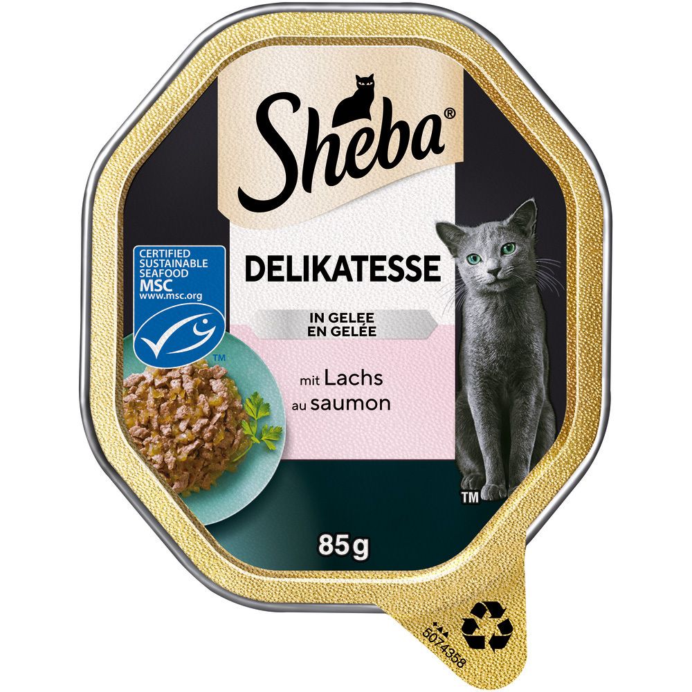 Sheba Schale 85g Delikatesse mit Lachs in Gelee. MSC-zertifizierter Lachs. Graue Katze auf der rechten Seite.