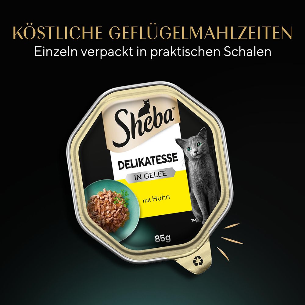 Sheba Delikatessen in Gelee mit Huhn, 85g, einzeln verpackt in praktischen Schalen. Mit Bild einer Katze.
