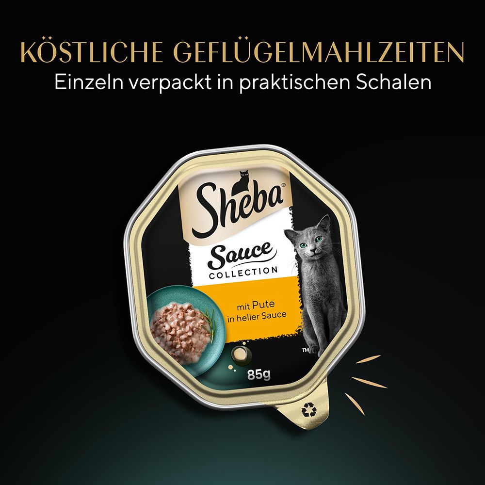 Sheba Schale 85g mit Pute in heller Sauce, einzeln verpackt, mit einem Bild einer Katze.