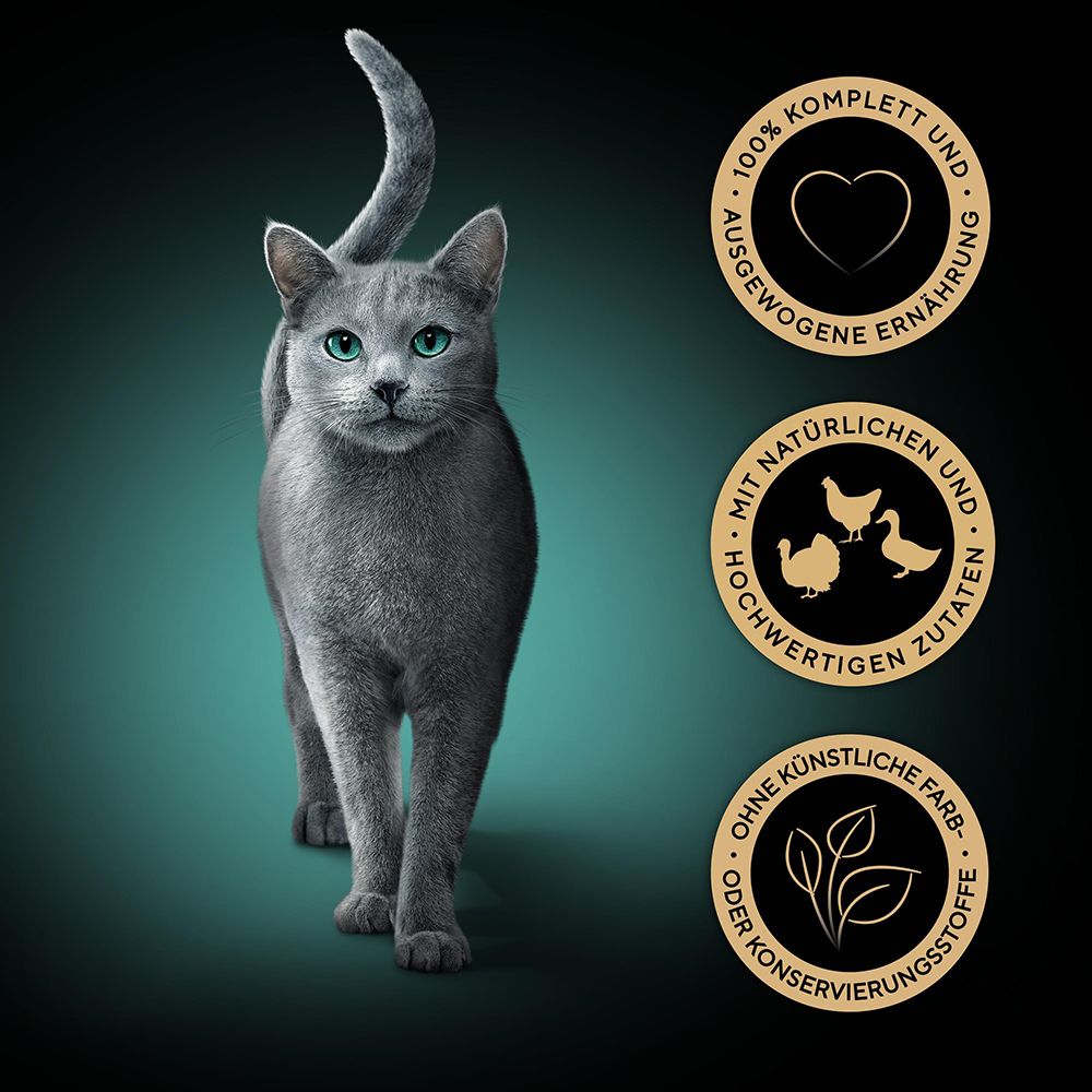 Graue Katze mit Siegeln für ausgewogene Ernährung und natürliche Zutaten.