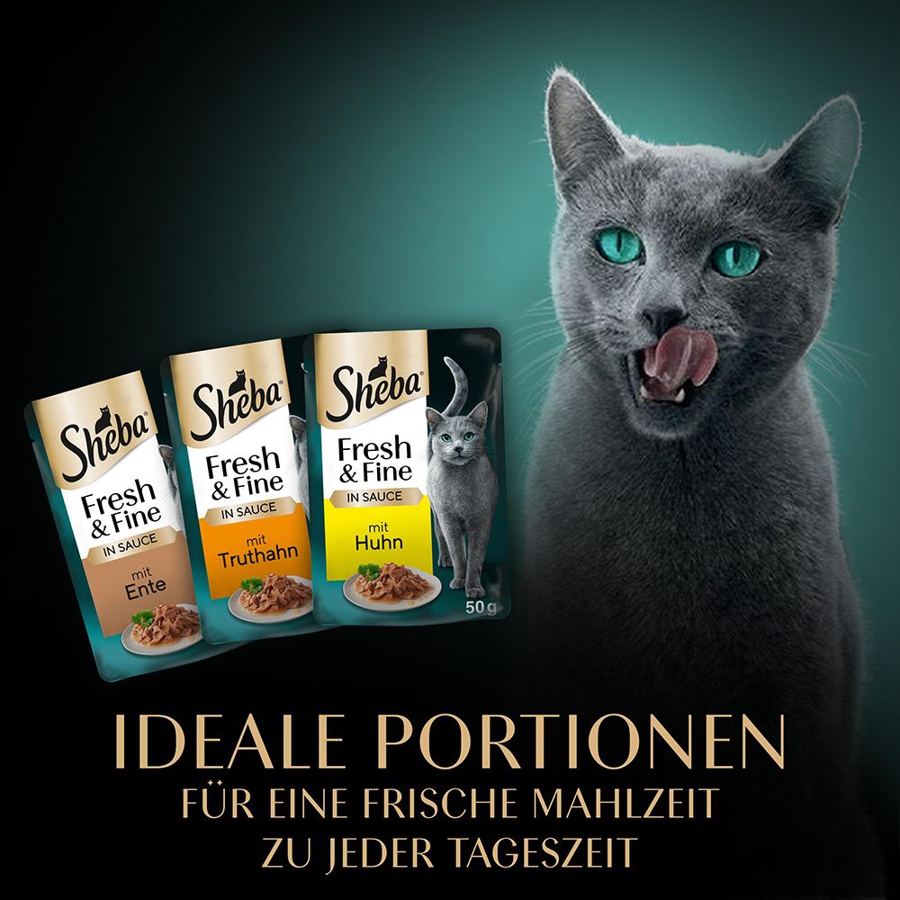 Sheba Fresh & Fine in Sauce: Ideale Portionen für frische Mahlzeiten.
