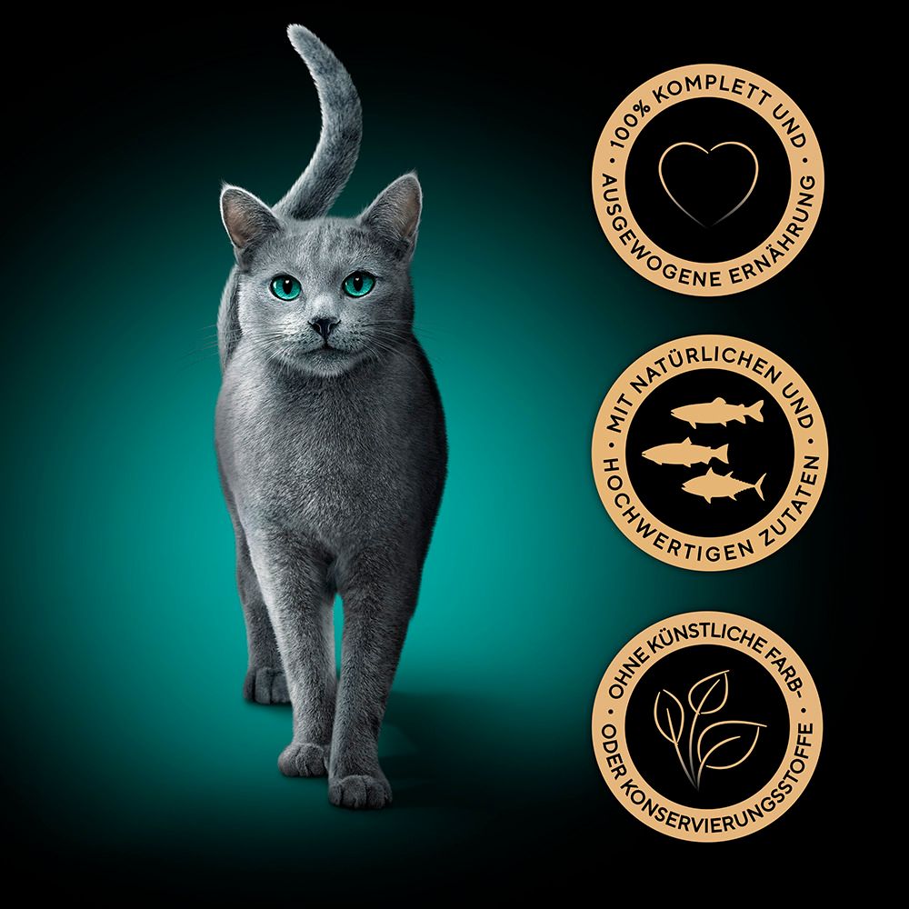 Grauer Katze vor dunklem Hintergrund, mit drei goldenen Siegeln: 100% komplett, natürliche Zutaten, ohne künstliche Farb-/Konservierungsstoffe.