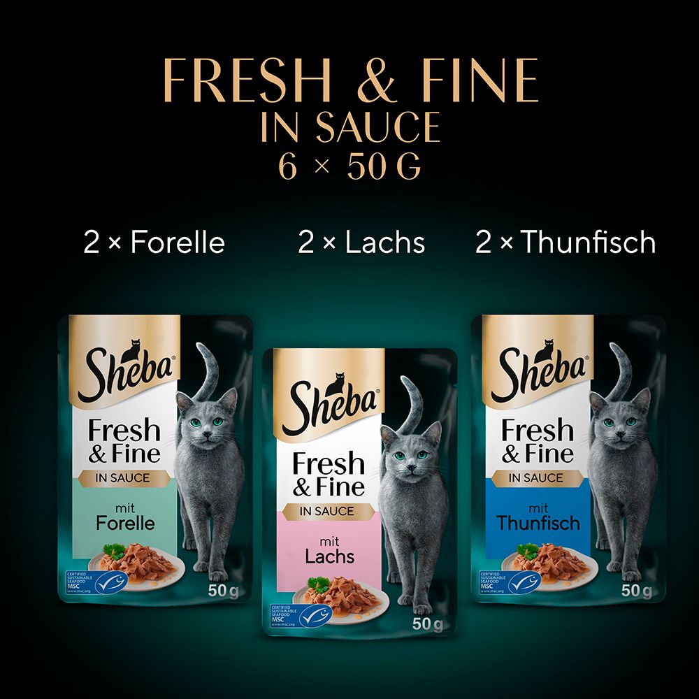 Sheba Fresh & Fine in Sauce: 2x Forelle, 2x Lachs, 2x Thunfisch. Drei Beutel mit Katze und Futterportion.