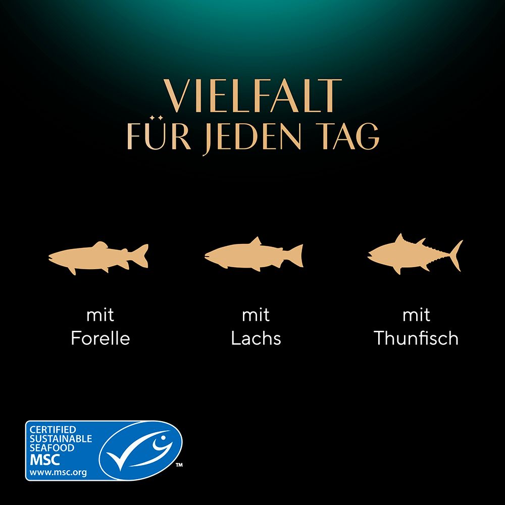Vielfalt für jeden Tag: Fisch-Symbol für Forelle, Lachs und Thunfisch. MSC-Siegel.