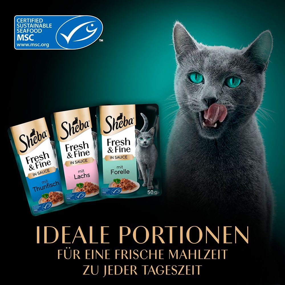 Ideale Portionen für eine frische Mahlzeit: Sheba Fresh & Fine in Sauce mit Forelle, Lachs, Thunfisch. MSC-Siegel.