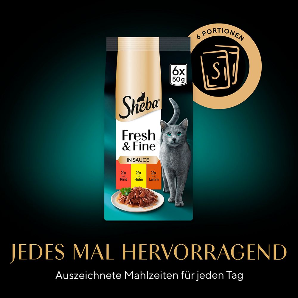 Sheba Fresh & Fine in Sauce 6x50g Packung mit Rind, Huhn und Lamm. Graue Katze und Text.