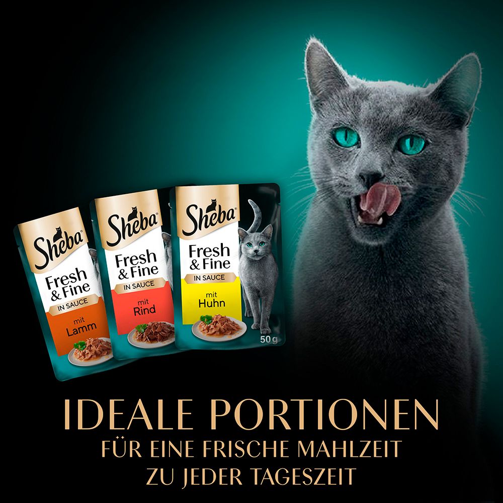Graue Katze leckt sich die Lippen, daneben Sheba Fresh & Fine Beutel mit Huhn, Rind und Lamm.
