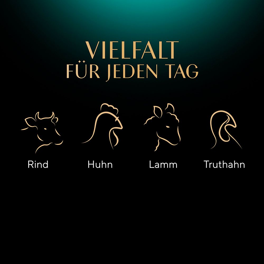 Katzennahrung in Sauce: Rind, Huhn, Lamm, Truthahn. Grafische Darstellungen der Tierarten.