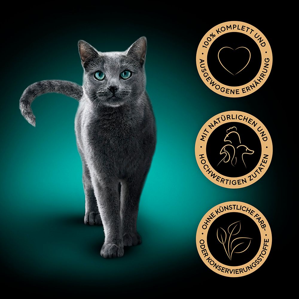 Grauer Kater mit blauen Augen neben Qualitätssiegeln für Ernährung.