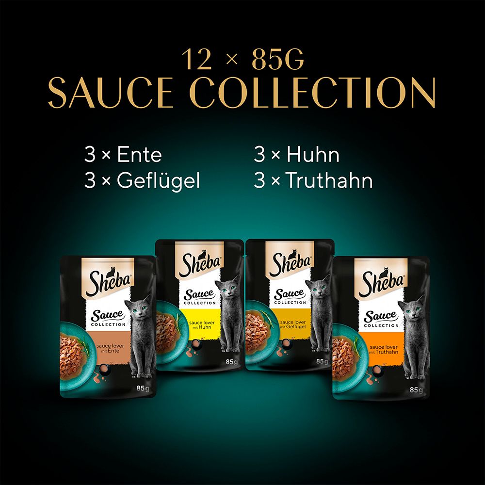 Sheba Sauce Collection 12x85g: 3x Ente, 3x Huhn, 3x Geflügel, 3x Truthahn.