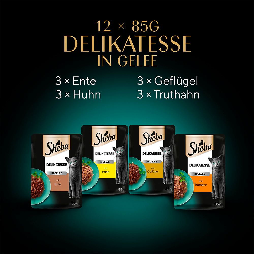 Vier Sheba Delikatesse in Gelee Beutel mit Geflügel, Huhn, Ente und Truthahn.