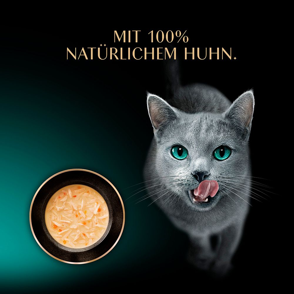 Sheba Soup mit Huhn: Katze leckt sich die Lippen neben einer Schale Katzenfutter.