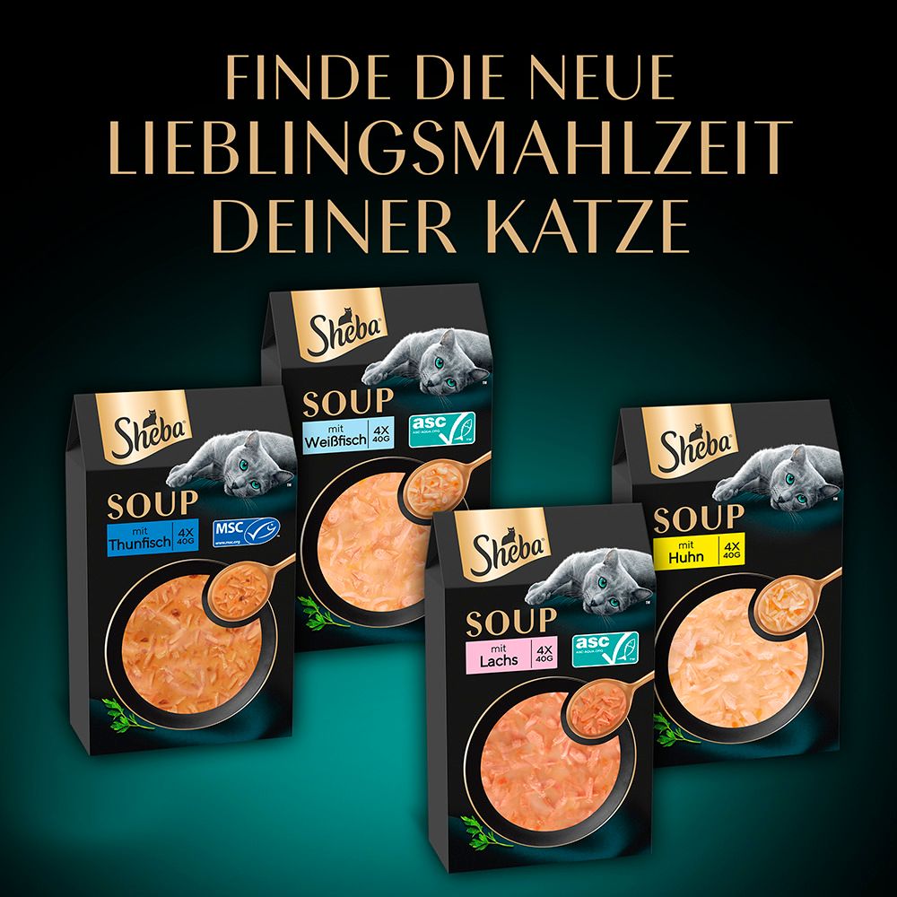 Sheba Soup Katzenfutter: Mehrere Packungen mit verschiedenen Geschmacksrichtungen.