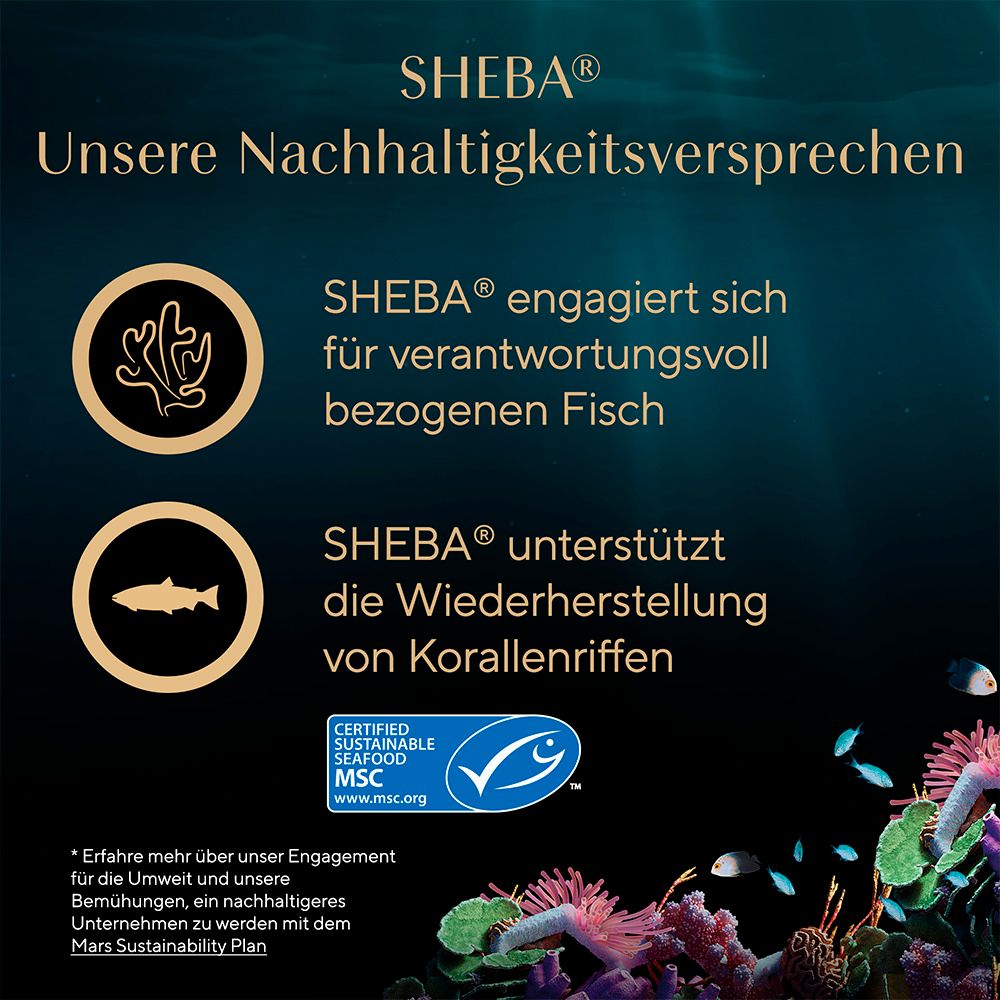 Sheba Nachhaltigkeitsversprechen: MSC-zertifizierter Fisch und Korallenriff-Unterstützung.