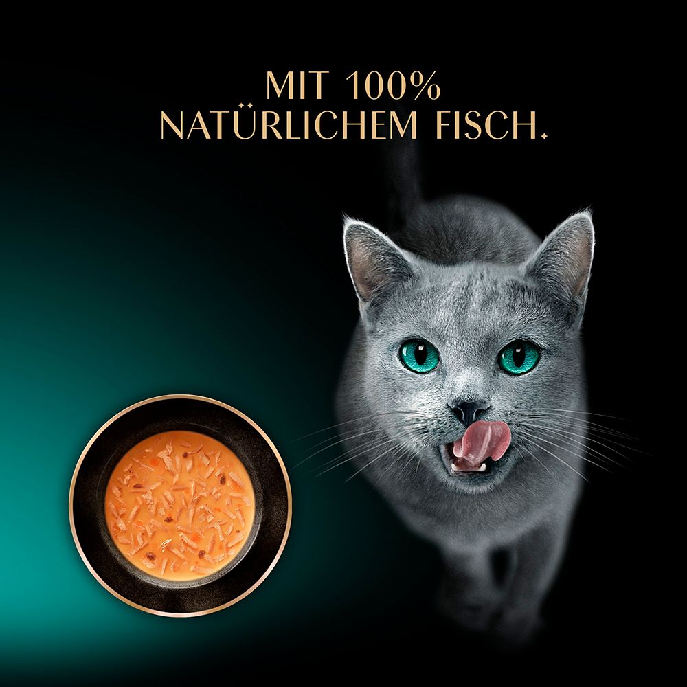 Sheba Classic Soup mit Thunfisch: Katze leckt sich die Lippen neben einer Schale Suppe.