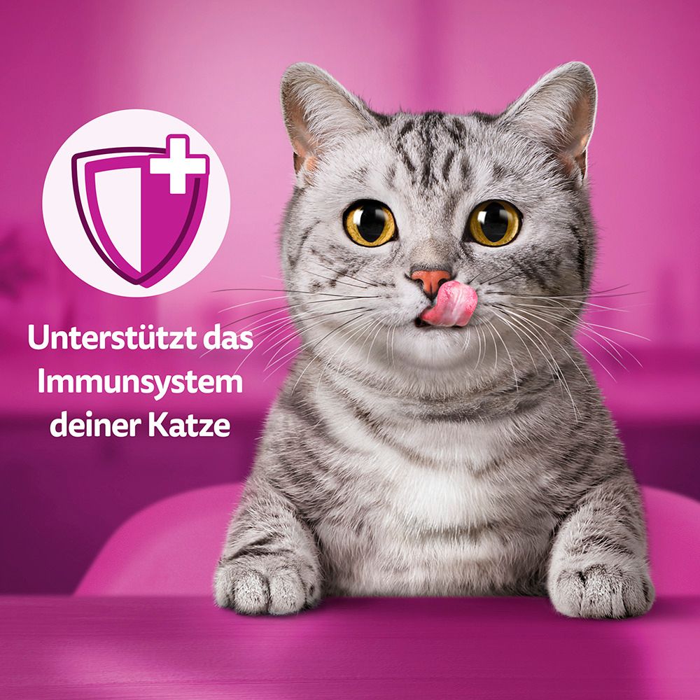 Katze mit Schild-Symbol für Immunsystem-Unterstützung, Whiskas Vitamin E-xtra.