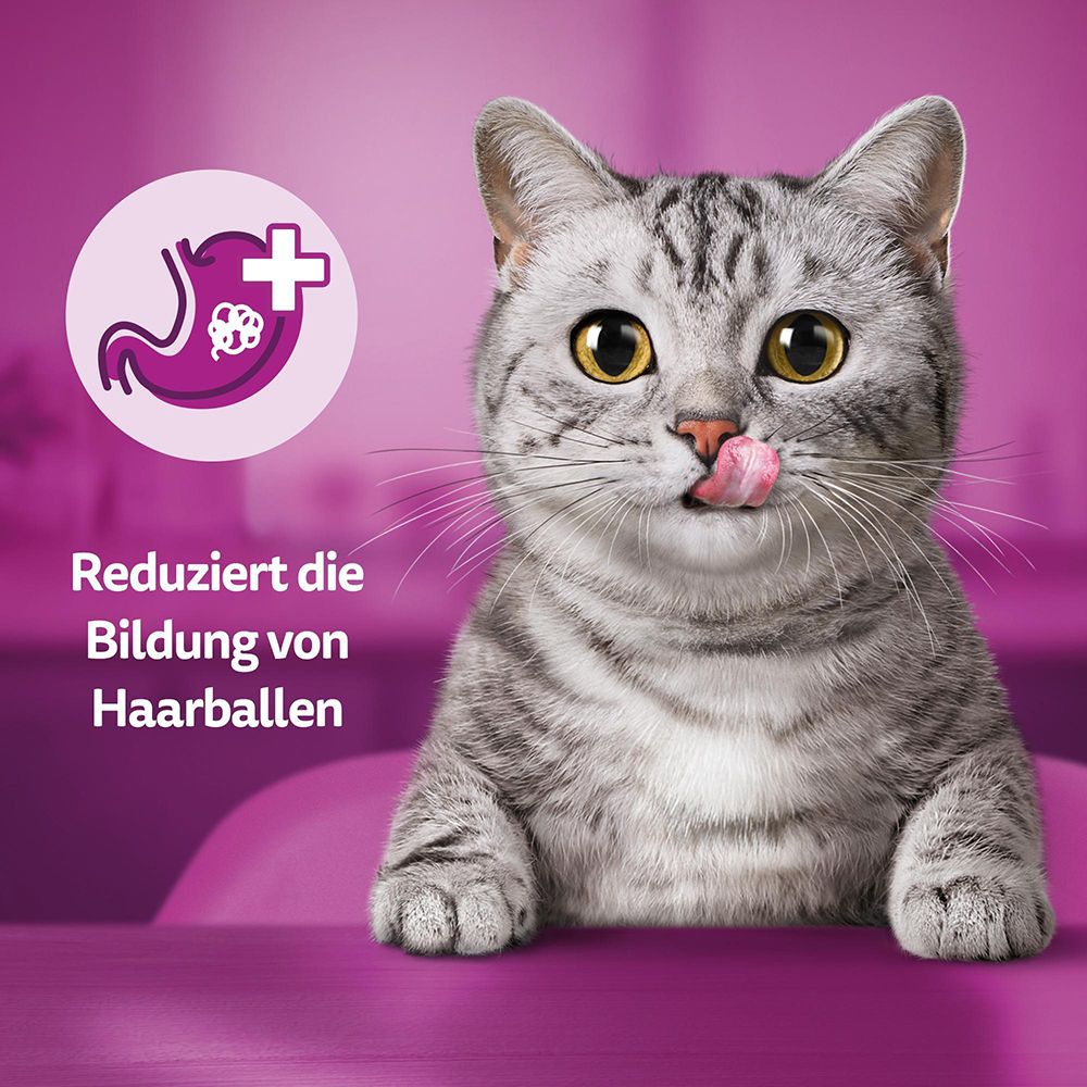 Grafik eines Katzenmagens mit einem Tumor, daneben Text über reduzierte Haarballbildung.