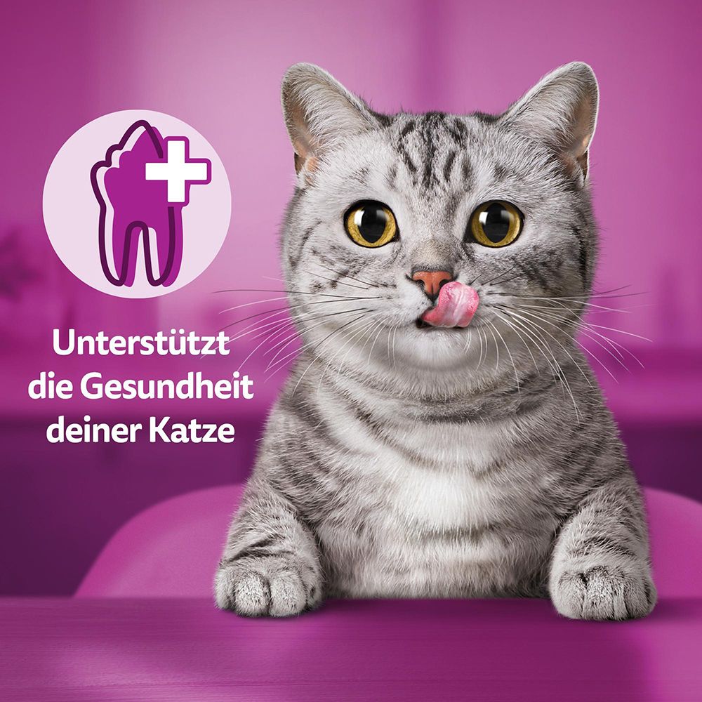 Zahn-Symbol mit Kreuz. Text: Unterstützt die Gesundheit deiner Katze.