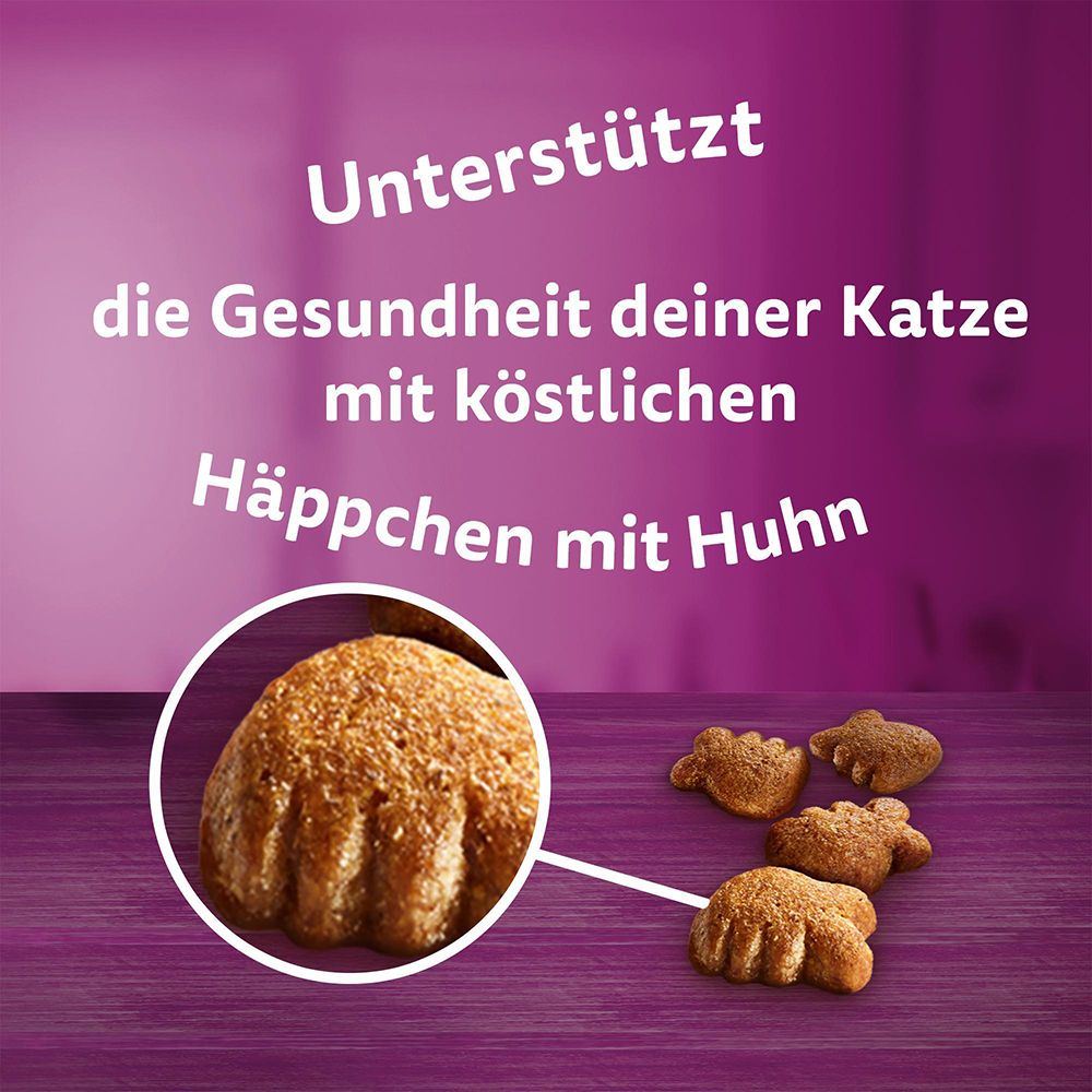 Katzenfutter-Häppchen mit Huhn. Nahaufnahme eines Snacks.