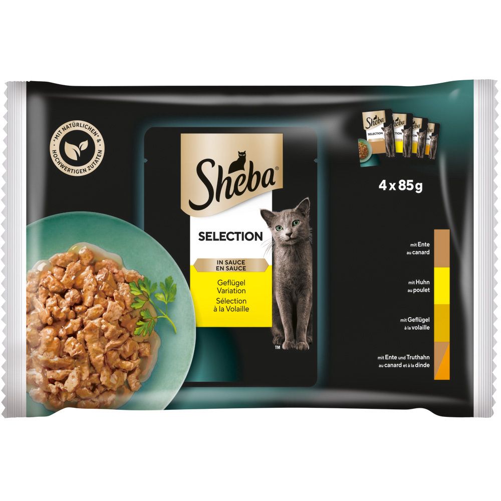 Sheba Selection in Sauce Geflügel Variation Multipackung mit 4 Beuteln à 85g. Zeigt eine Schale mit Katzenfutter und eine Katze.