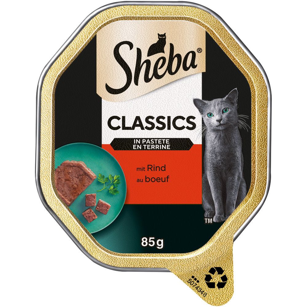 Sheba Classics Pastete Rind 85g: Eine Schale mit Rinderpastete und Würfeln, garniert mit Petersilie. Eine graue Katze sitzt daneben.