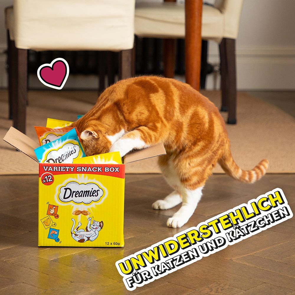 Katze schnuppert in einer Dreamies Snack Box. "Unwiderstehlich für Katzen und Kätzchen".