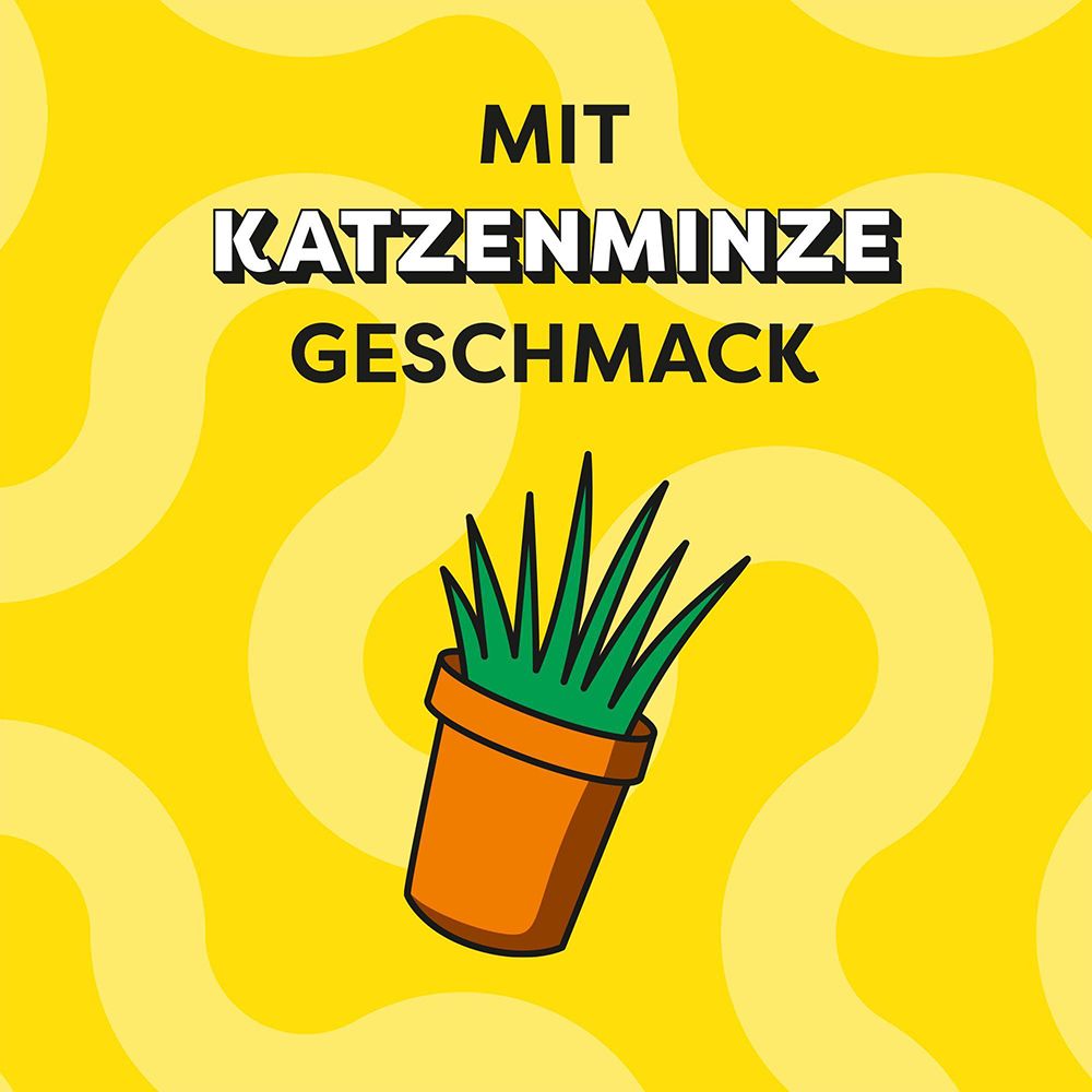 Dreamies Leckerli mit Katzenminze Geschmack. Mit Topfpflanze.