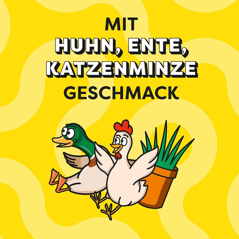 Dreamies ShakeUps Geschmack: Huhn, Ente, Katzenminze.