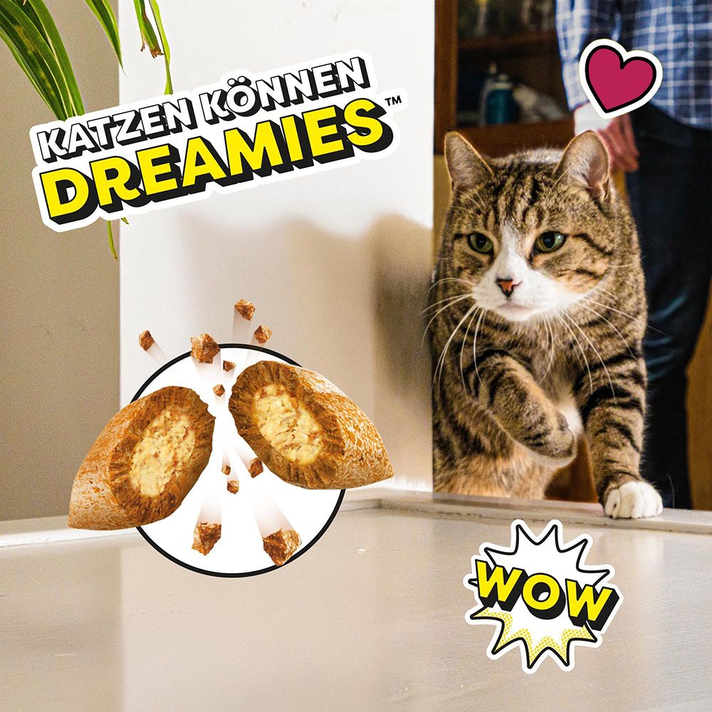 Katzen können Dreamies, ein Kater schaut auf Snacks.