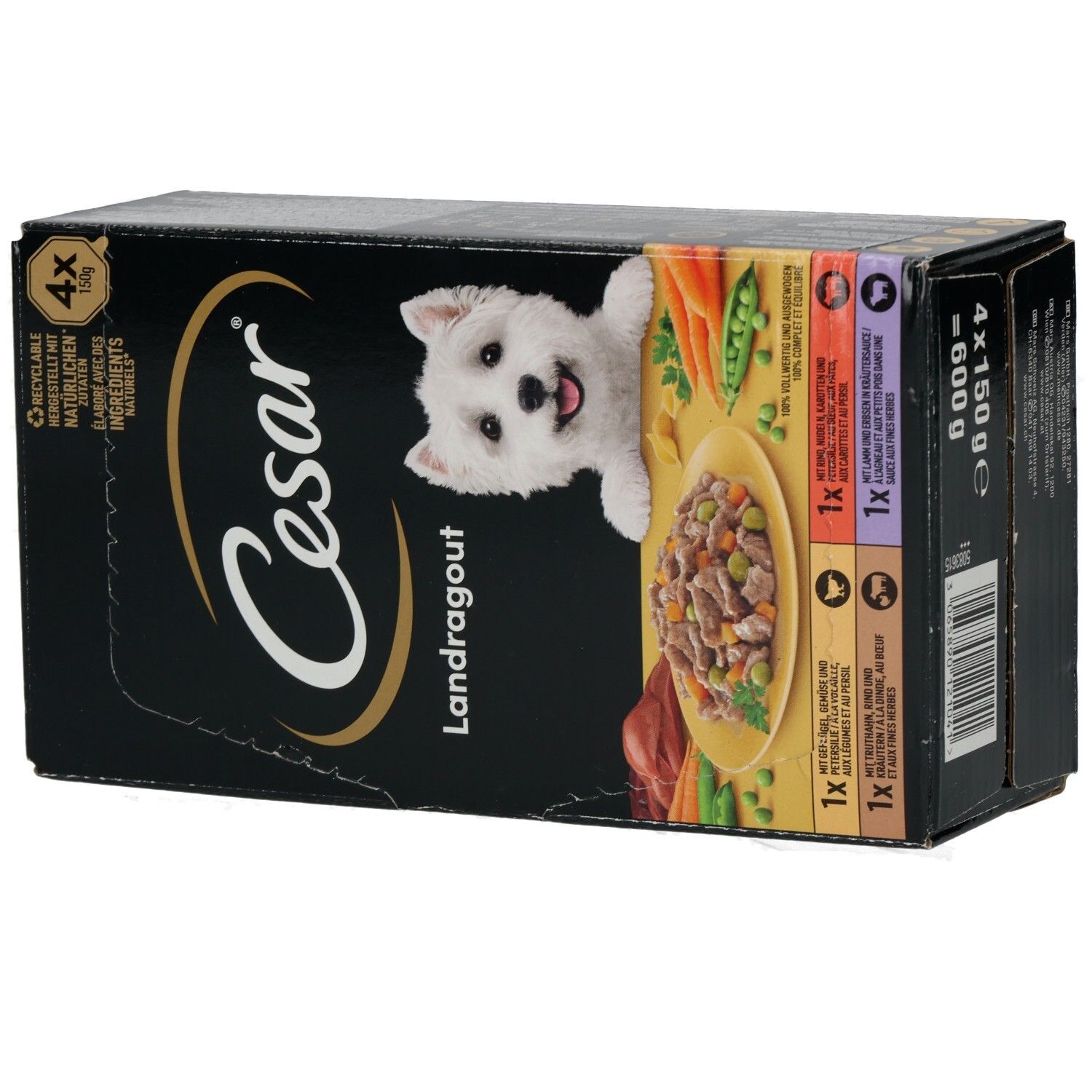 Cesar Landragout 4x150g Hundefutter-Packung, schräge Ansicht mit einem West Highland White Terrier.