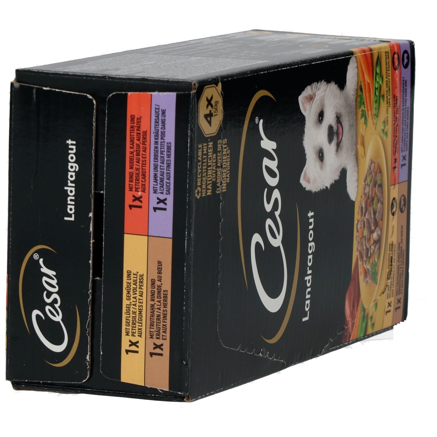 Cesar Landragout 4x150g Hundefutter-Packung, schräge Ansicht mit einem West Highland White Terrier.