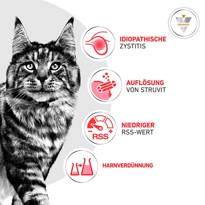 Royal Canin Urinary S/O. Indikationen: Idiopathische Zystitis, Struvitauflösung, niedriger RSS-Wert, Harnverdünnung.