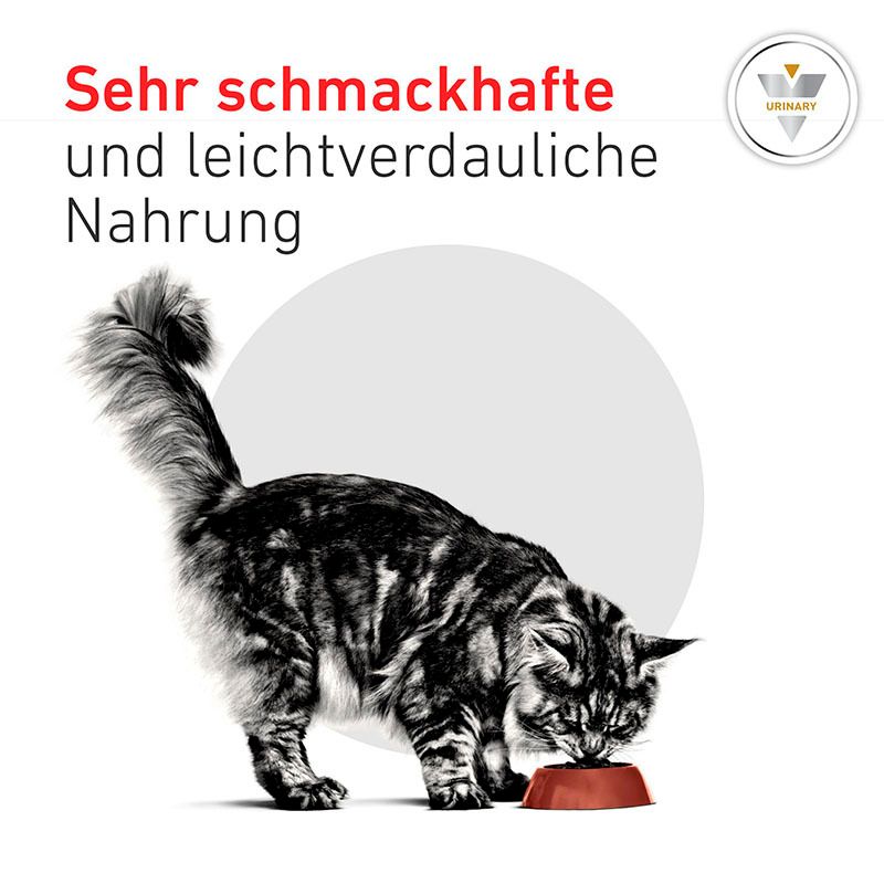 Katze frisst Royal Canin Urinary S/O Mousse aus einem Napf. "Sehr schmackhafte und leichtverdauliche Nahrung".