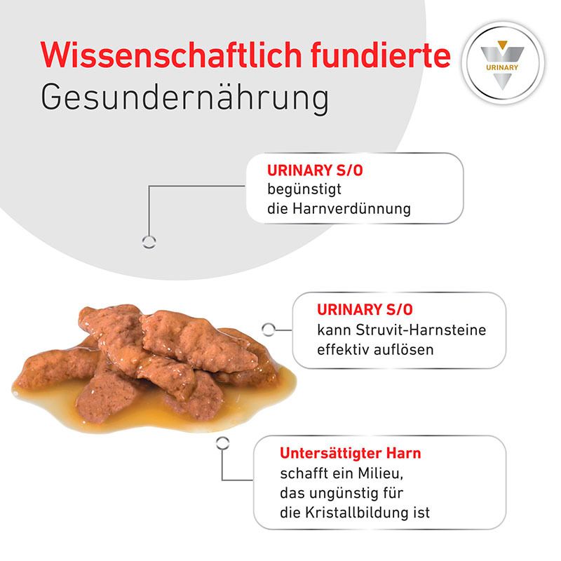 Katze frisst ROYAL CANIN® Veterinary URINARY S/O aus einem Napf.