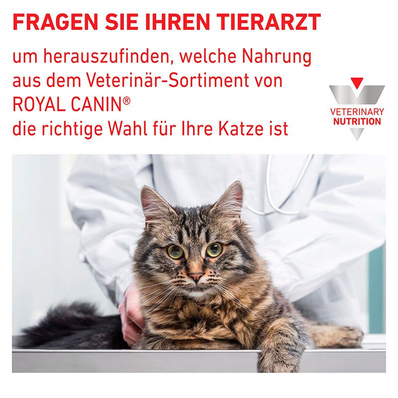 Katze bei Tierarzt: Royal Canin Veterinary Urinary S/O Moderate Calorie Beratung.