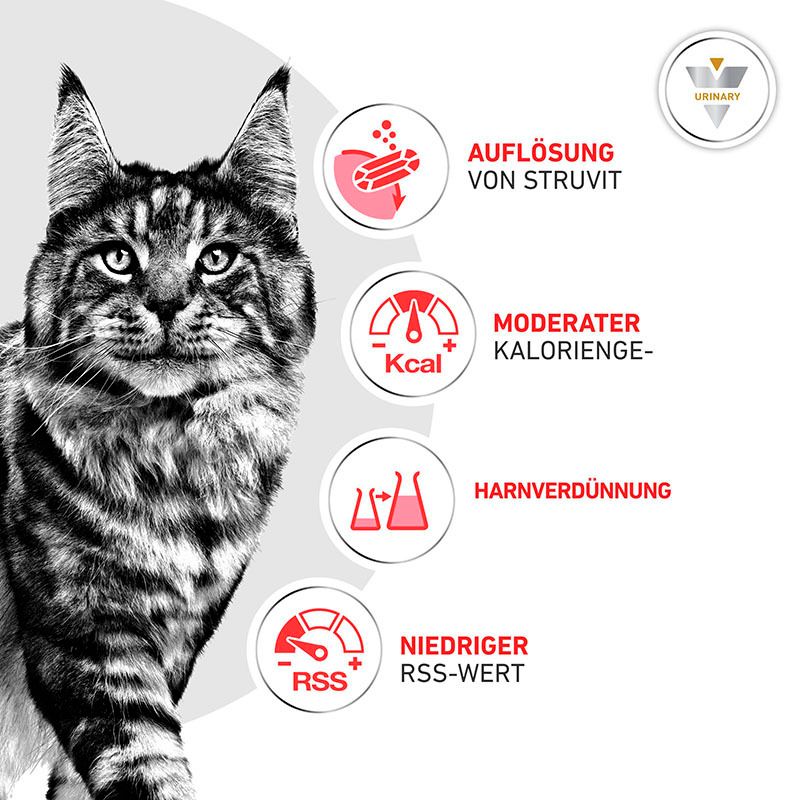 Illustrationen von Vorteilen von Royal Canin Veterinary Urinary S/O Moderate Calorie für Katzen.