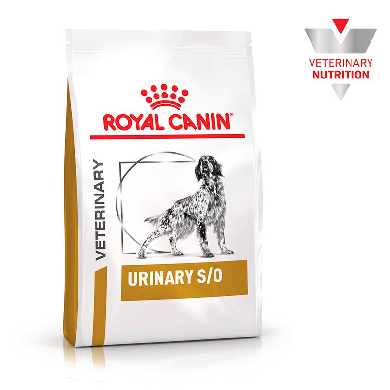 Ein Sack Royal Canin Urinary S/O Hundefutter mit einem Bild eines dalmatinischen Hundes. "Veterinary Nutrition" Logo oben rechts.