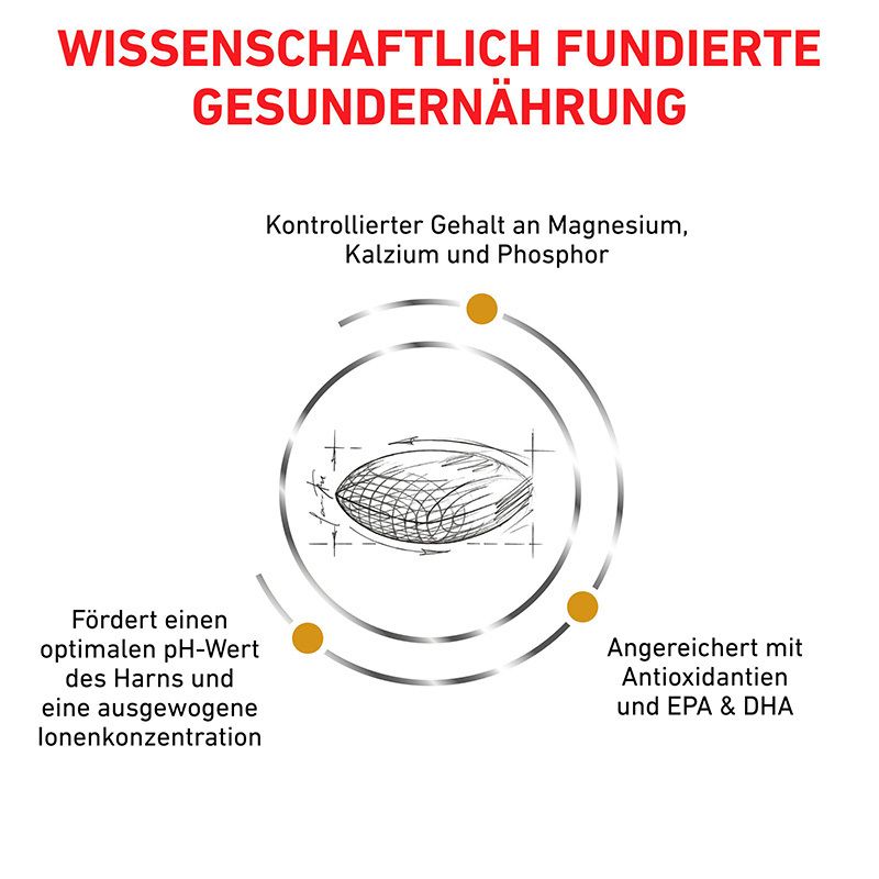 Wissenschaftlich fundierte Ernährung von ROYAL CANIN®: Magnesium-, Kalzium-, Phosphorkontrolle, Antioxidantien, EPA & DHA.