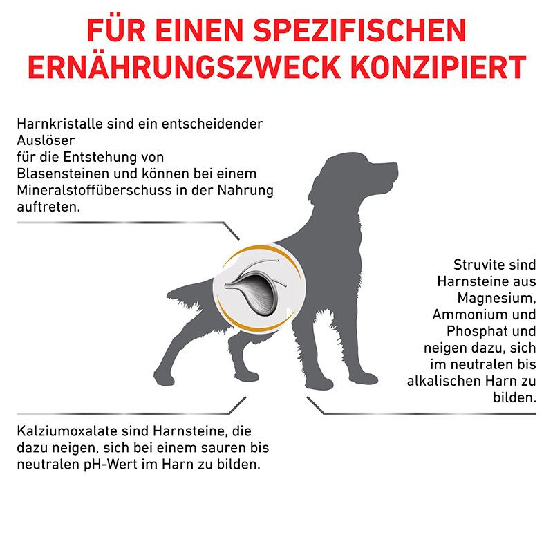 ROYAL CANIN® Veterinary URINARY S/O: Konzipiert für Harnkristalle, Struvit- und Kalziumoxalatsteine bei Hunden.