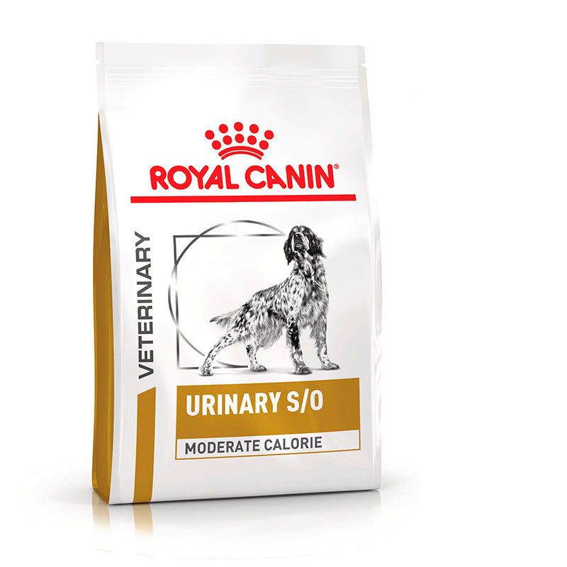 Royal Canin Urinary S/O Moderate Calorie Hundefutter-Beutel mit Hundemotiv.