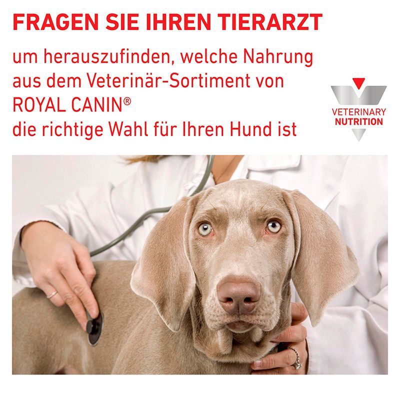 Tierarzt berät über die richtige Wahl der Royal Canin Veterinary Nahrung für Hunde.