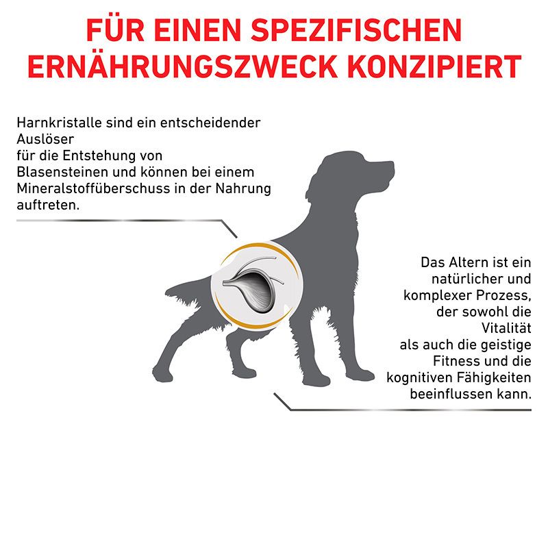 Schema zur Veranschaulichung der Wirkung von Royal Canin Urinary S/O Ageing 7+ auf Hunde.