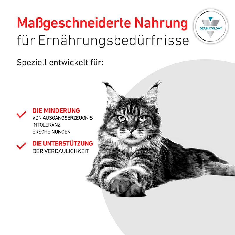 Maßgeschneiderte Nahrung für Ernährungsbedürfnisse: Maine Coon Katze liegt, mit Text über Minderung von Erzeugnis-Intoleranzen und Verdauungsunterstützung.