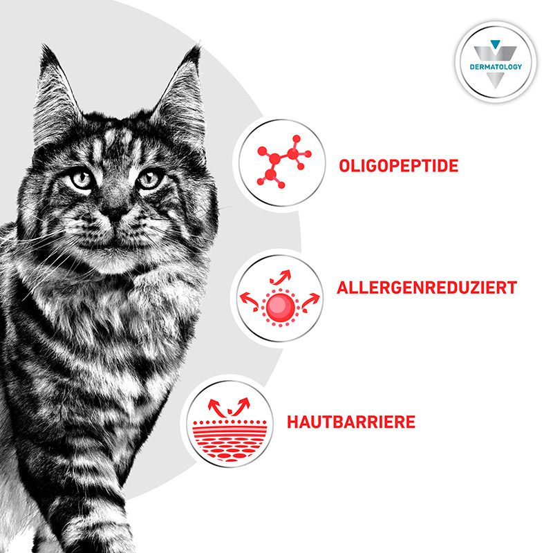 Oligopeptide, allergenreduziert, Hautbarriere: Grafiken und Text erklären die Vorteile der Nahrung für Katzen.