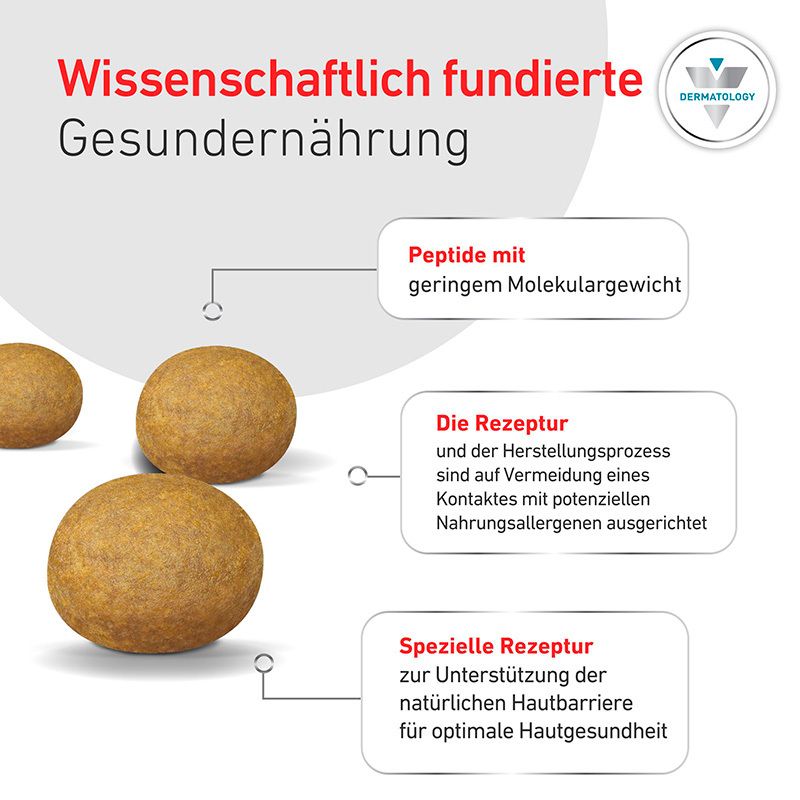 Wissenschaftlich fundierte Gesundernährung: Kroketten und Erklärungen zu Peptiden, Herstellungsprozess und Hautbarriere.
