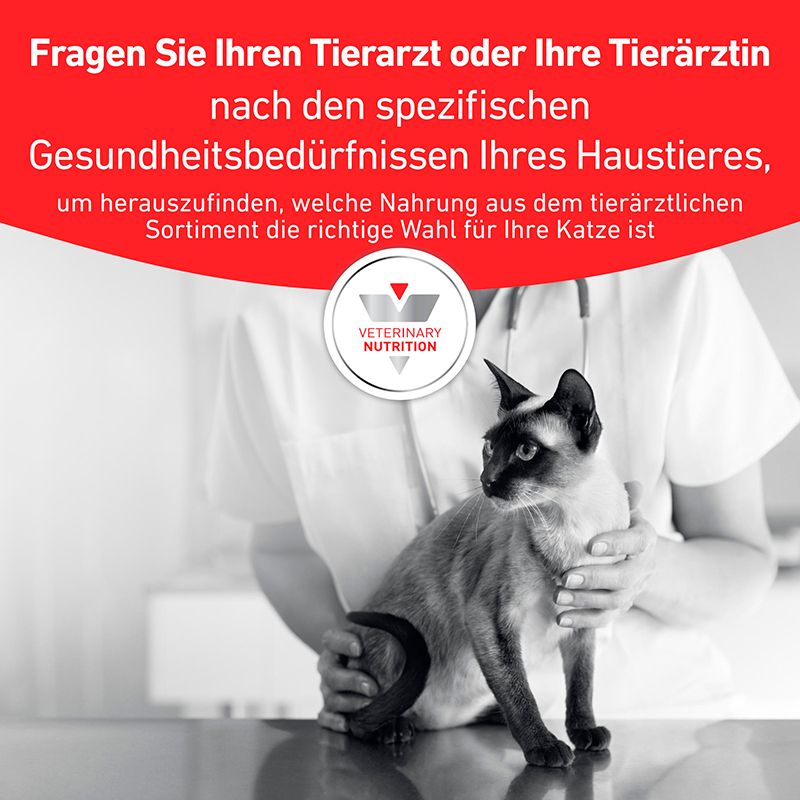 Tierärztliche Beratung: Tierarzt hält Katze, mit Text über spezifische Gesundheitsbedürfnisse und Sortimentswahl.