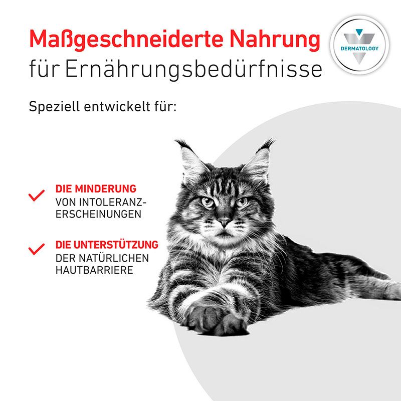 Katze mit Text über maßgeschneiderte Nahrung für Ernährungsbedürfnisse.
