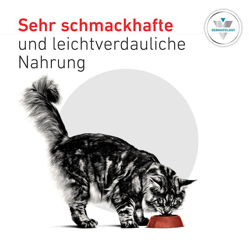 Katze frisst aus einem Napf. Text: Sehr schmackhafte und leichtverdauliche Nahrung.