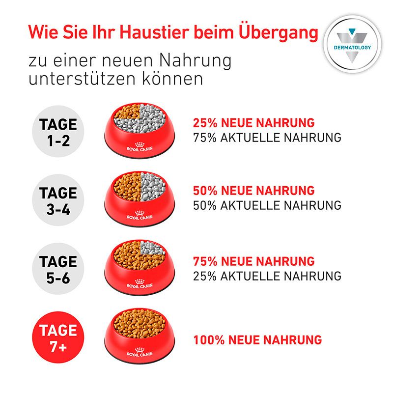 Anleitung zum Übergang auf neue Nahrung für Katzen mit Futternäpfen.