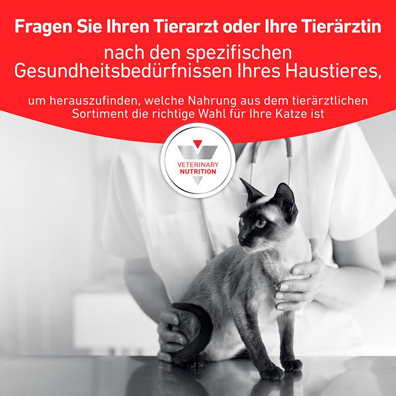 Tierarzt hält eine Katze. Text: Fragen Sie Ihren Tierarzt nach der richtigen Nahrung.
